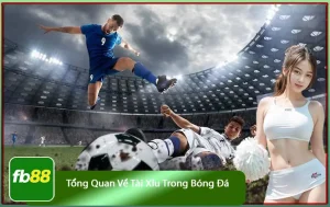 Tổng quan về tài xỉu trong bóng đá